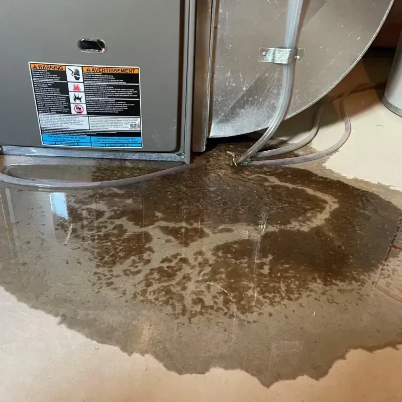 Appliance Leak Cleanup in Woodbine, GA